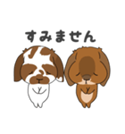 第二弾こはくくん、むさしくん（個別スタンプ：15）