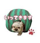 うにうに うねうね（個別スタンプ：11）