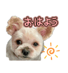 うにうに うねうね（個別スタンプ：12）