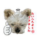 うにうに うねうね（個別スタンプ：14）