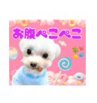 犬猫保護団体レオ  保護っ子スタンプ①（個別スタンプ：30）