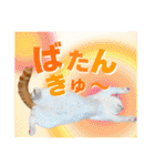 犬猫保護団体レオ  保護っ子スタンプ①（個別スタンプ：33）