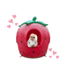 かなとだぜ（個別スタンプ：23）