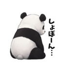 パンダのうしろ（個別スタンプ：2）