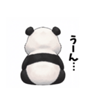 パンダのうしろ（個別スタンプ：7）