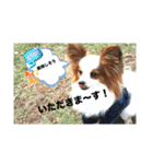 休日のレオ（個別スタンプ：4）