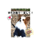 休日のレオ（個別スタンプ：14）