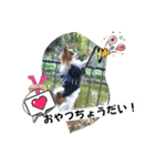 休日のレオ（個別スタンプ：15）
