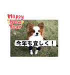 休日のレオ（個別スタンプ：17）