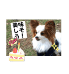 休日のレオ（個別スタンプ：19）