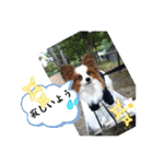 休日のレオ（個別スタンプ：20）