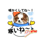 休日のレオ（個別スタンプ：26）