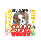 休日のレオ（個別スタンプ：31）
