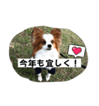 休日のレオ（個別スタンプ：35）