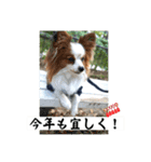 休日のレオ（個別スタンプ：36）