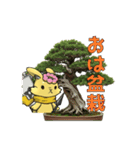 ルナと盆栽のスタンプ ver4.0（個別スタンプ：16）