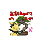 ルナと盆栽のスタンプ ver4.0（個別スタンプ：25）