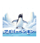 ペンギンの種類を覚えよう（個別スタンプ：3）