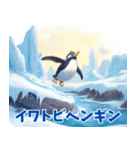 ペンギンの種類を覚えよう（個別スタンプ：4）