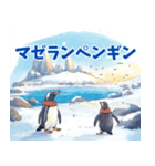 ペンギンの種類を覚えよう（個別スタンプ：6）