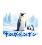 ペンギンの種類を覚えよう（個別スタンプ：7）