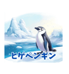 ペンギンの種類を覚えよう（個別スタンプ：8）