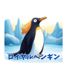 ペンギンの種類を覚えよう（個別スタンプ：13）