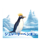 ペンギンの種類を覚えよう（個別スタンプ：17）