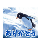 ペンギンの種類を覚えよう（個別スタンプ：21）