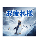 ペンギンの種類を覚えよう（個別スタンプ：28）