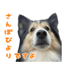 今日のココしゃ（個別スタンプ：8）