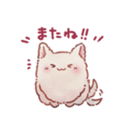 ねこっぽいぬ スタンプ（個別スタンプ：13）