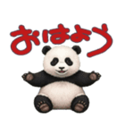 パンダのだんぴぃをよろしく！（個別スタンプ：1）