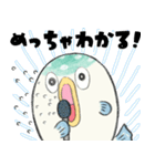自己肯定感高いフグ（個別スタンプ：12）