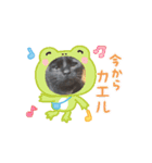 カワイイニャンズ（個別スタンプ：6）
