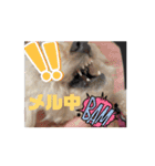 動くメル⑦（個別スタンプ：5）