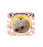 動くメル⑦（個別スタンプ：7）