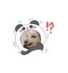 動くメル⑦（個別スタンプ：8）