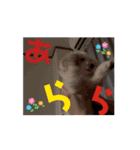 動くメル⑦（個別スタンプ：9）
