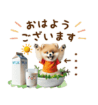 名前入り癒しポメラニアン（個別スタンプ：1）