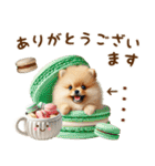名前入り癒しポメラニアン（個別スタンプ：11）