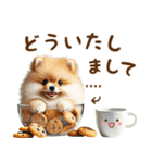 名前入り癒しポメラニアン（個別スタンプ：12）