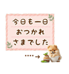 名前入り癒しポメラニアン（個別スタンプ：15）
