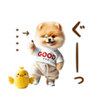 名前入り癒しポメラニアン（個別スタンプ：20）