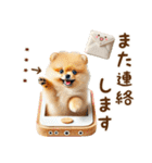名前入り癒しポメラニアン（個別スタンプ：37）