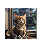 にゃんこ感情スタンプ001（個別スタンプ：12）