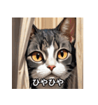 にゃんこ感情スタンプ001（個別スタンプ：14）