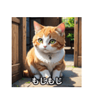 にゃんこ感情スタンプ001（個別スタンプ：23）