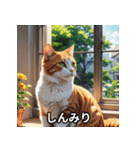 にゃんこ感情スタンプ001（個別スタンプ：25）