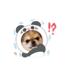 スリーシスターーーーーズ（個別スタンプ：8）